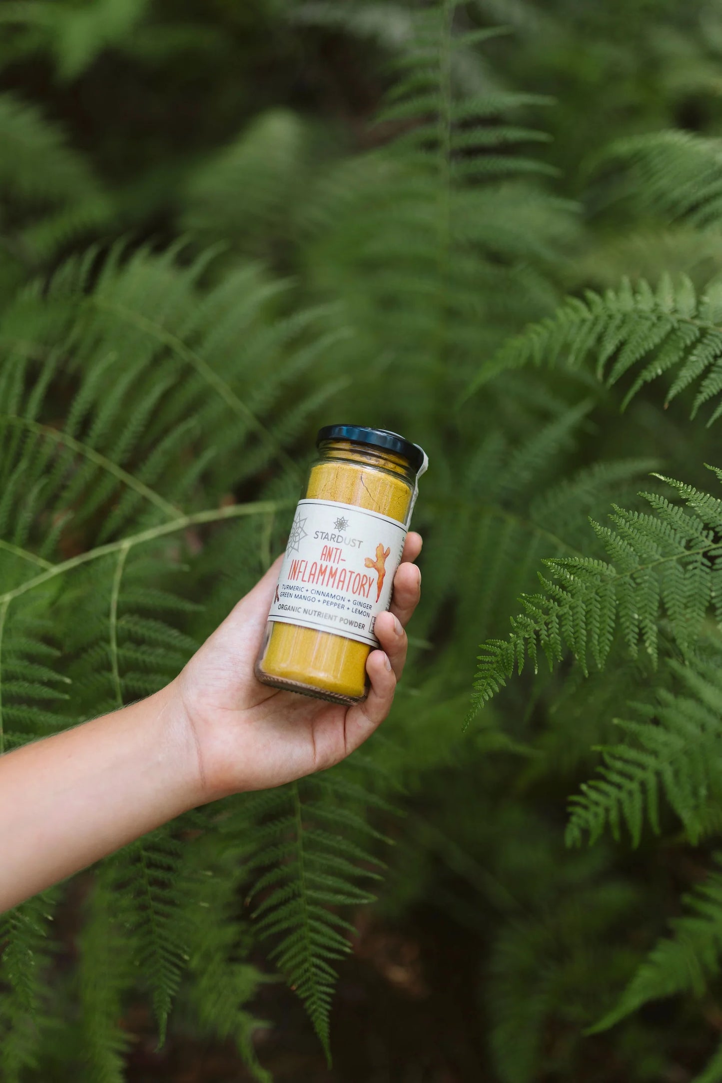 Mindful Foods - Stardust (anti-inflammatory)