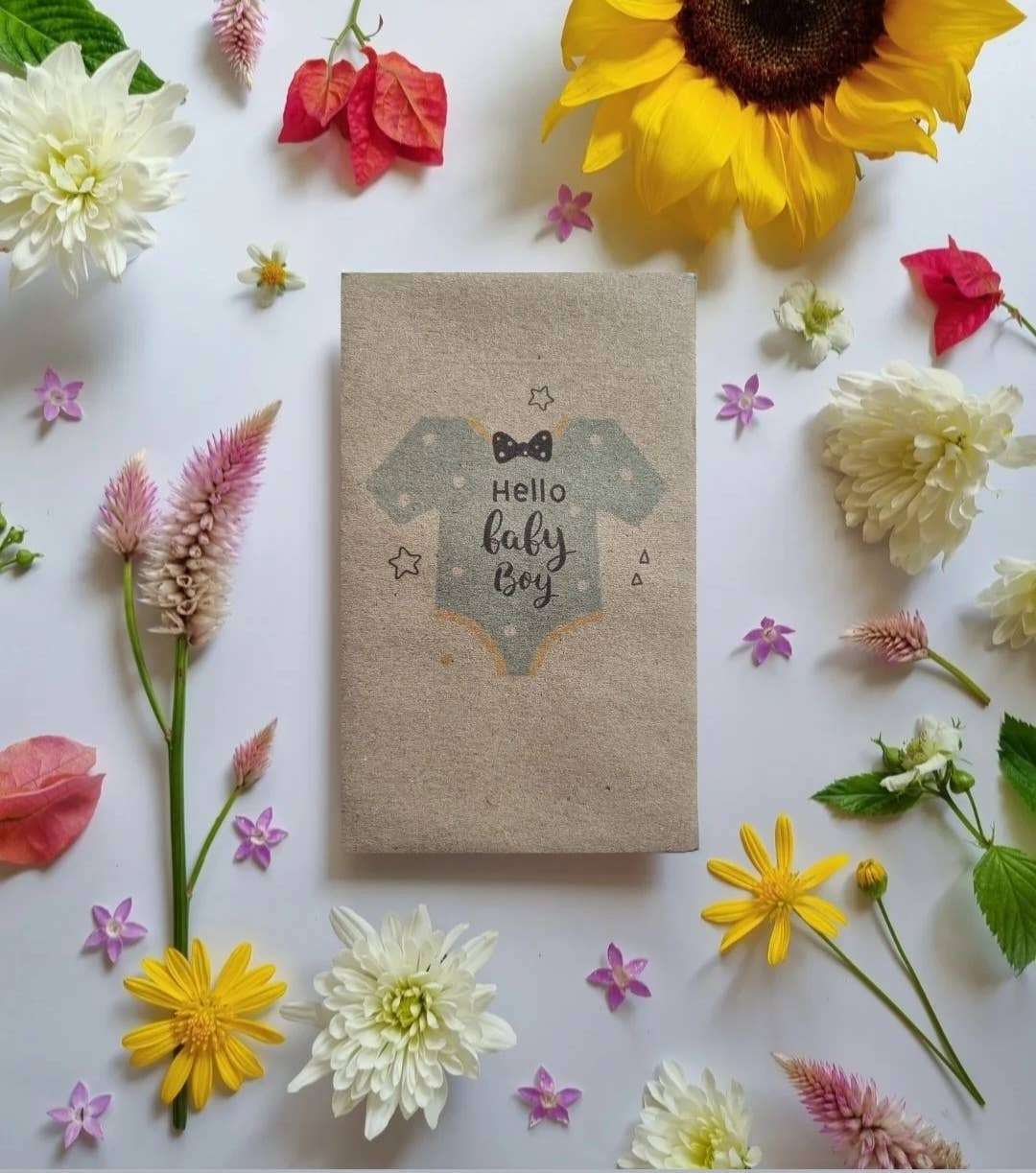 Hello Baby Boy - Flower Seeds