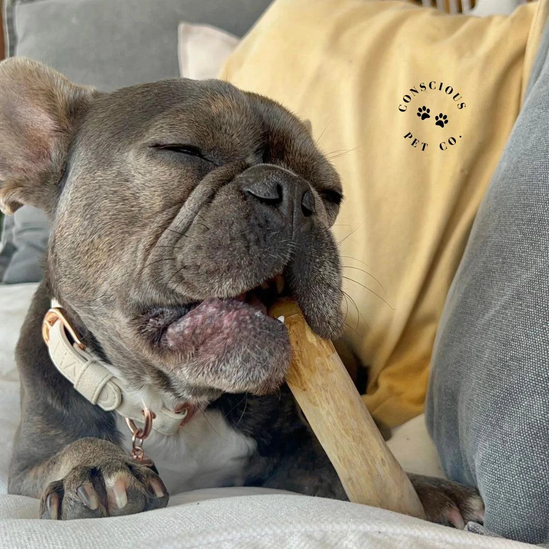 Conscious Pet Co - Coffee Wood Chew Toys