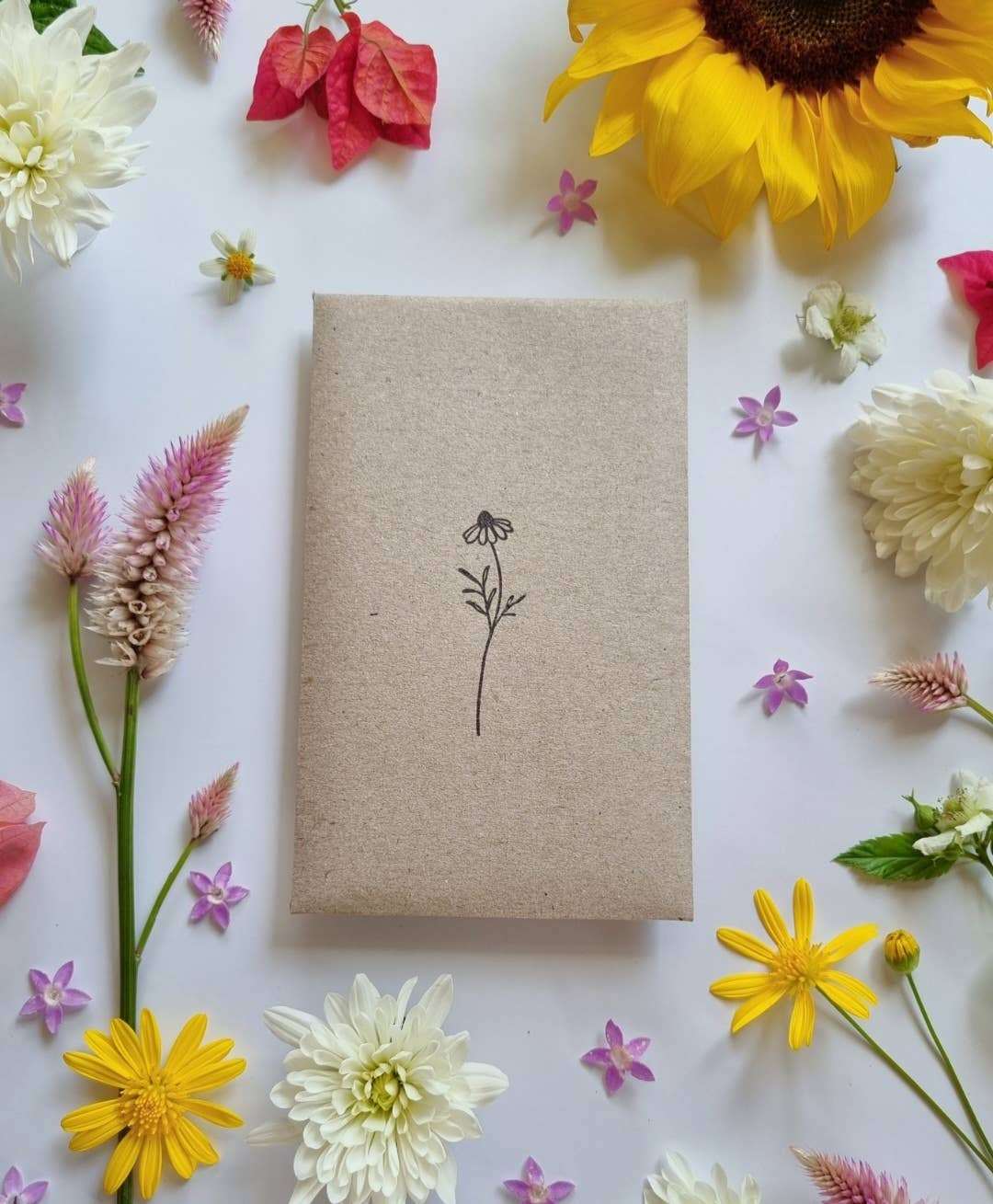 Low Growing Mix - Flower Seeds
