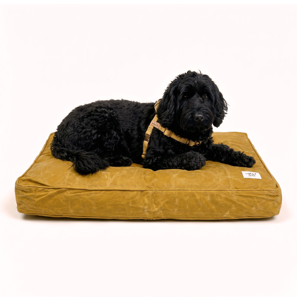 Outback Tails - Waxed Canvas Dog Bed (Yellow)