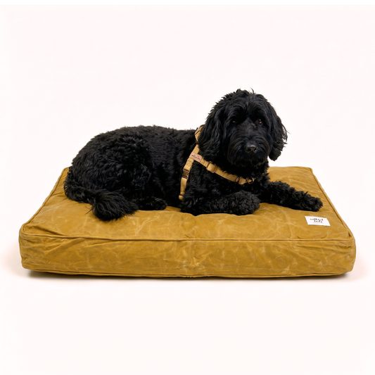 Outback Tails - Waxed Canvas Dog Bed (Yellow)