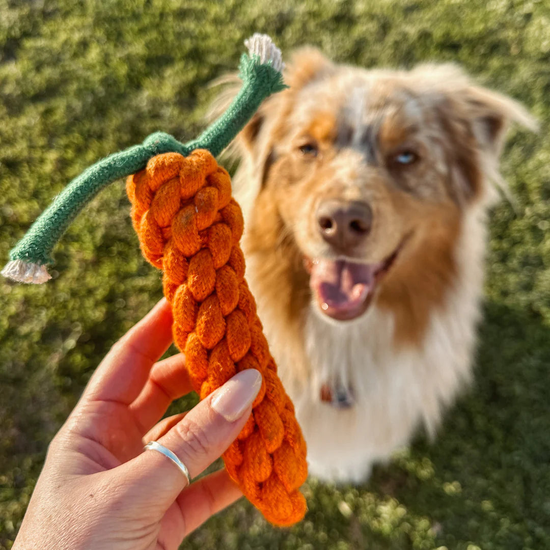 Outback Tails - Country Tails - Carrot