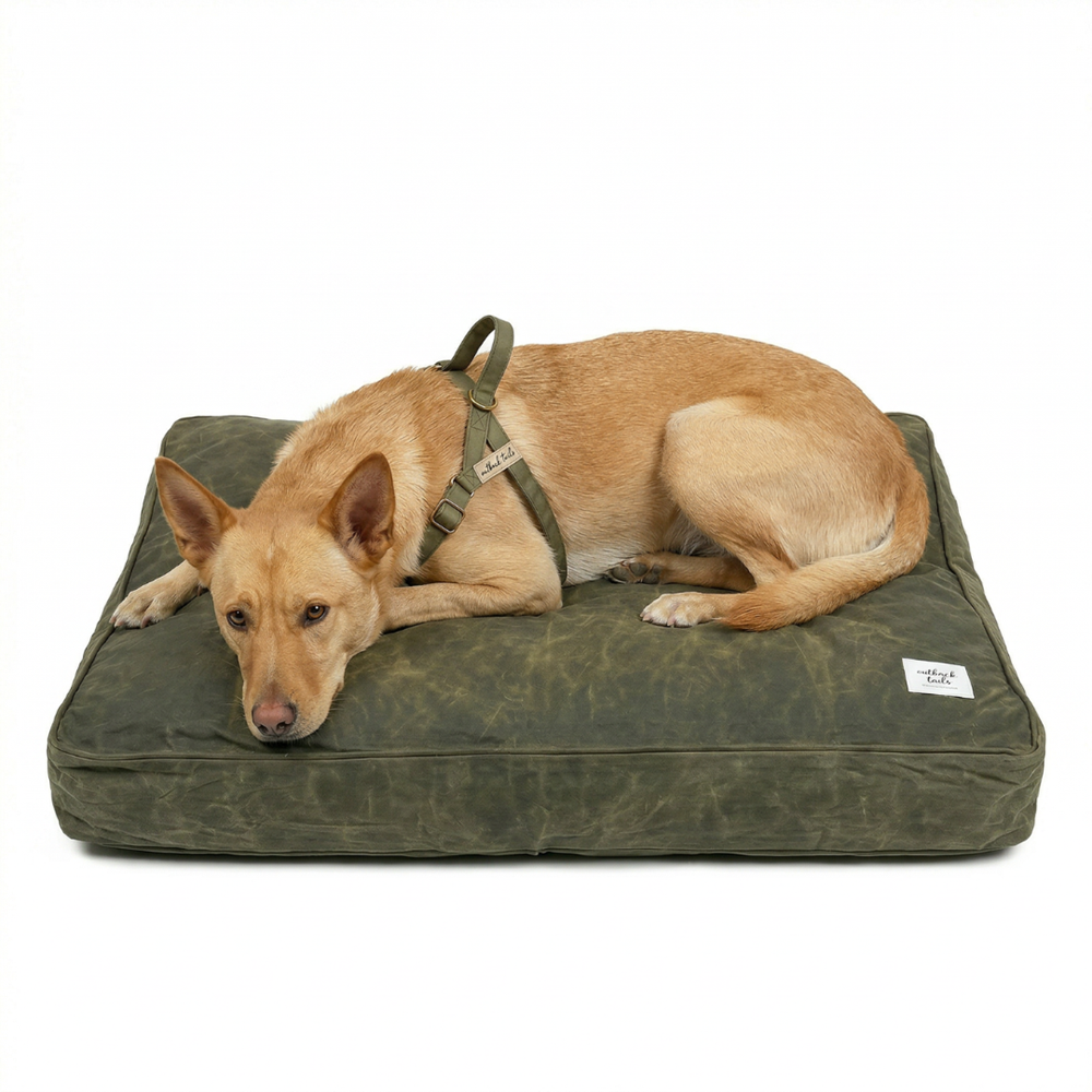 Outback Tails - Waxed Canvas Dog Bed (Green)