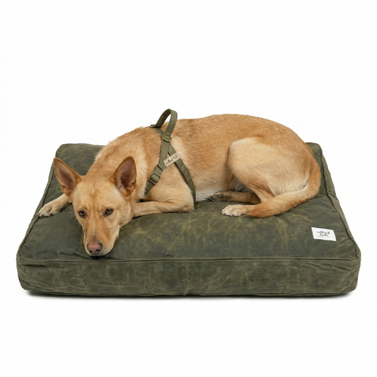 Outback Tails - Waxed Canvas Dog Bed (Green)