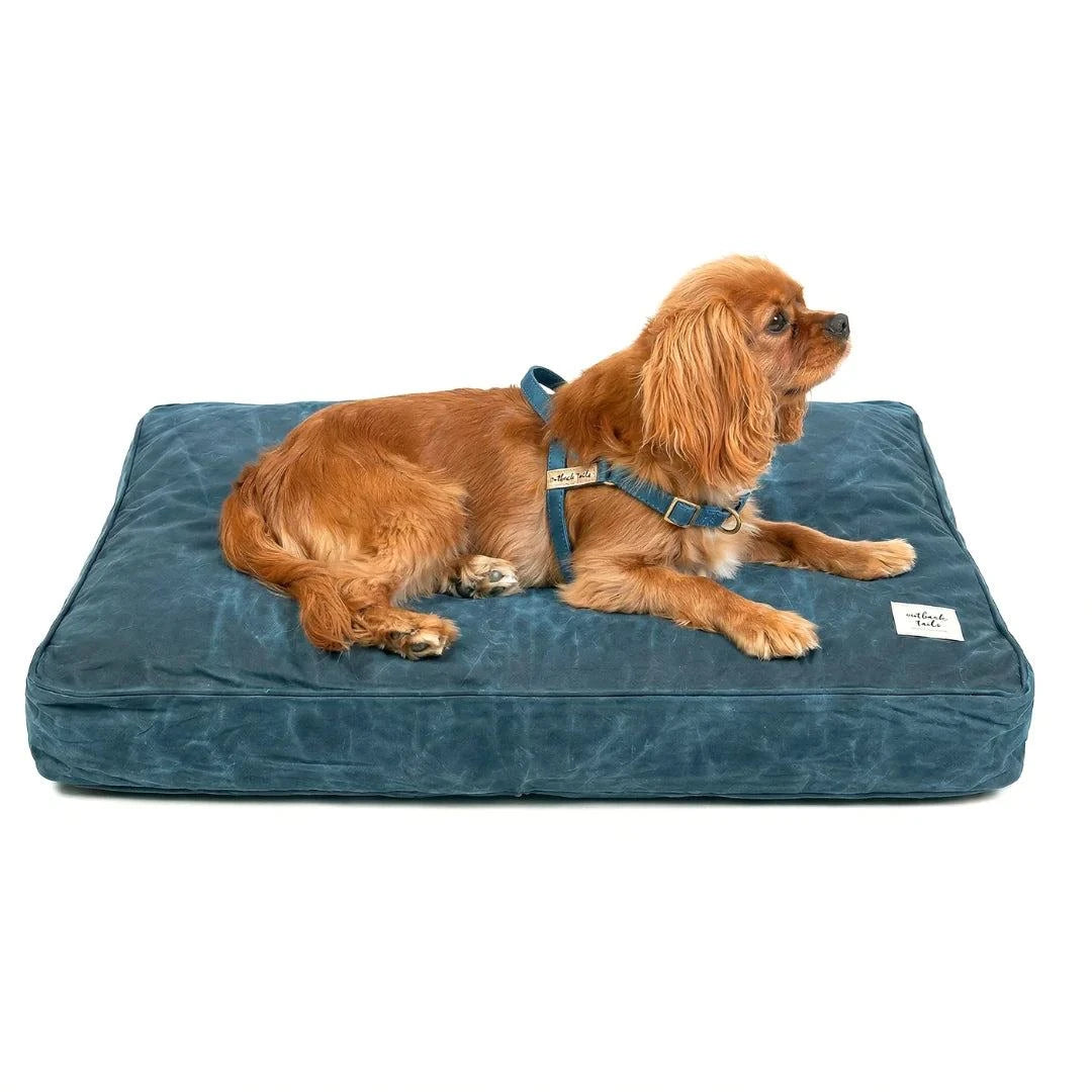 Outback Tails - Waxed Canvas Dog Bed (Blue)