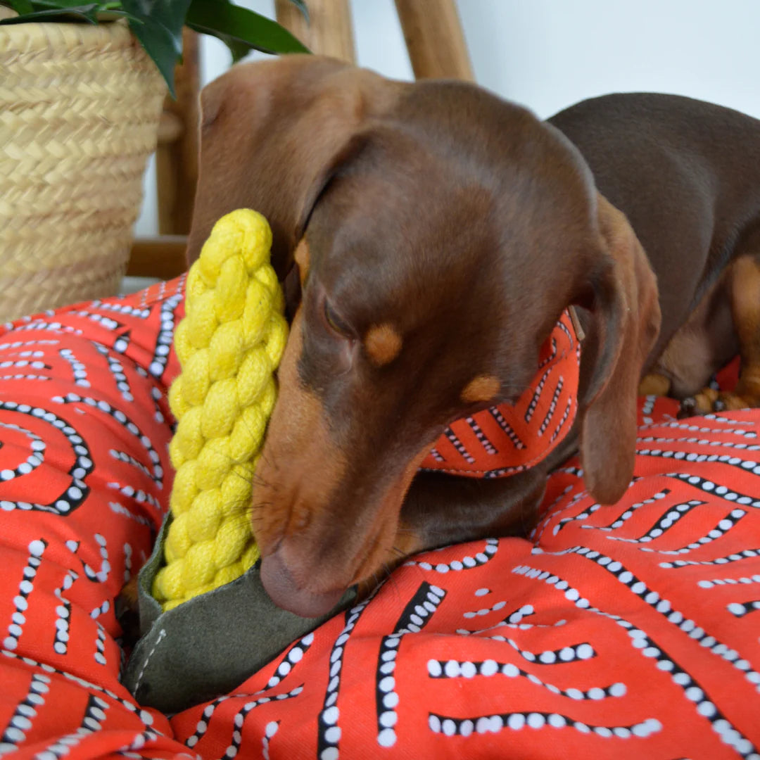 Outback Tails - Country Tails - Sweet Corn