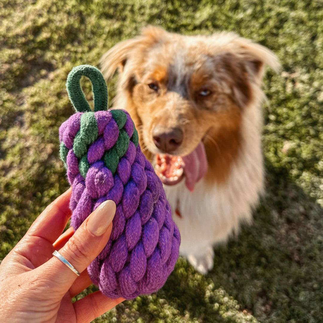 Outback Tails - Country Tails - Eggplant Rope Toy