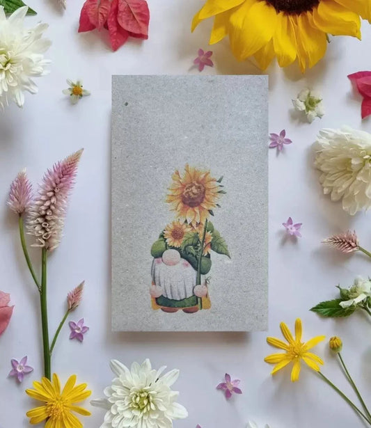 Sunflower Gnome - Giant Sunflower Seeds