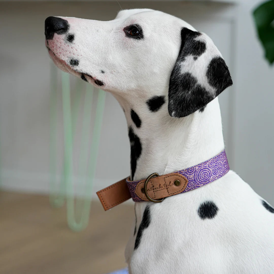 Outback Tails - Leather Dog Collar - Ngama