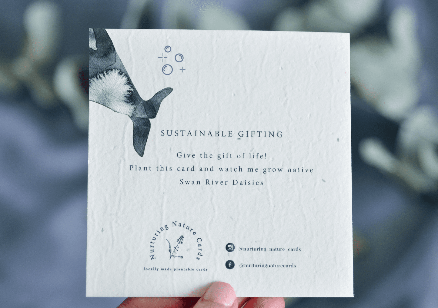 Jonah Plantable Greeting Card