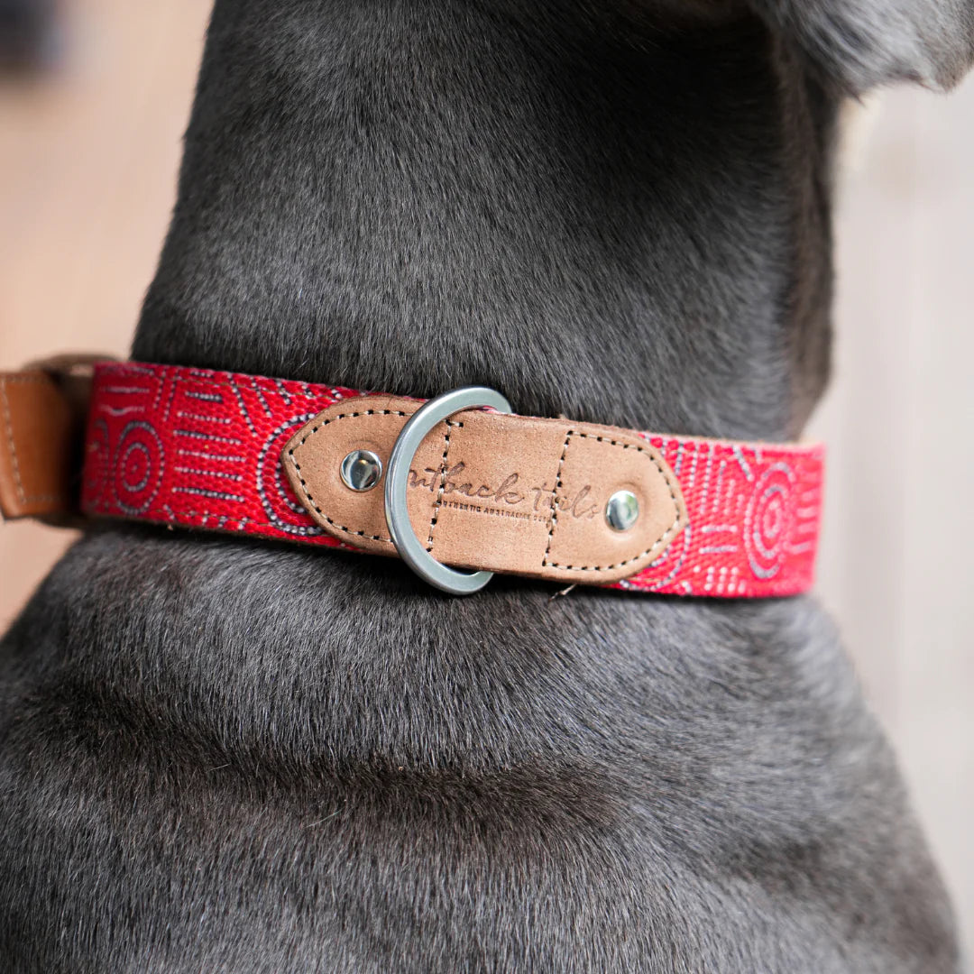 Outback Tails - Leather Dog Collar - Water Dreaming