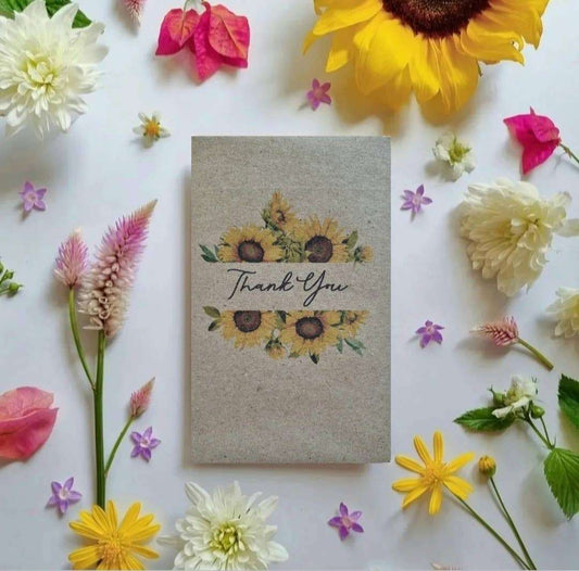 Thank You - Sunflower Seeds