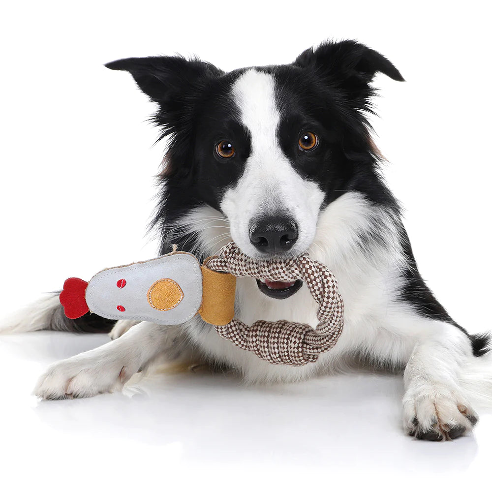 Outback Tails - Country Tails - Chicken Rope Ring Toy