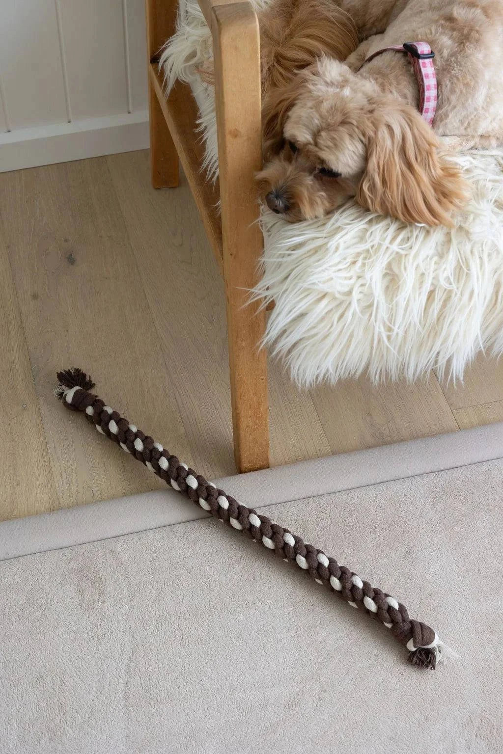 Conscious Pet Co - Mega Rope