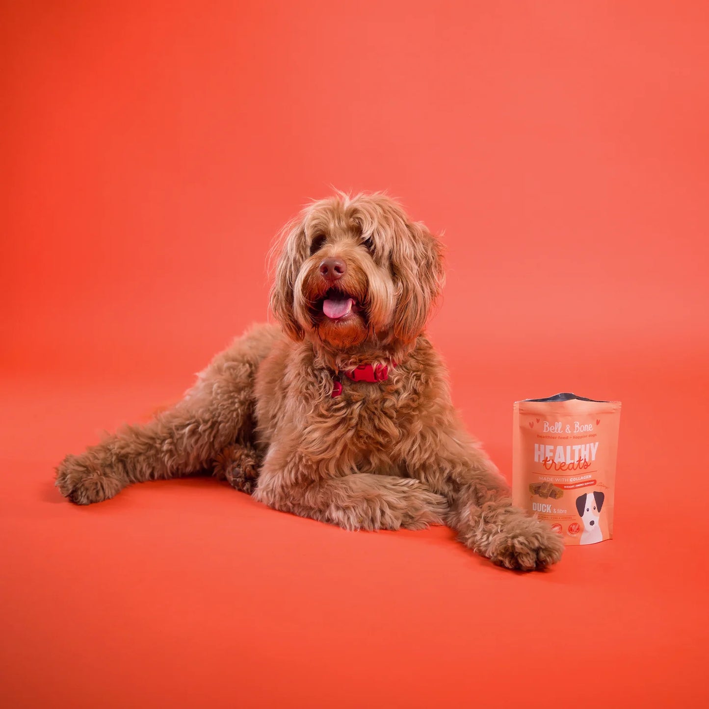 Bell and Bone - Healthy Treats: Duck and Fibre for weight and energy support