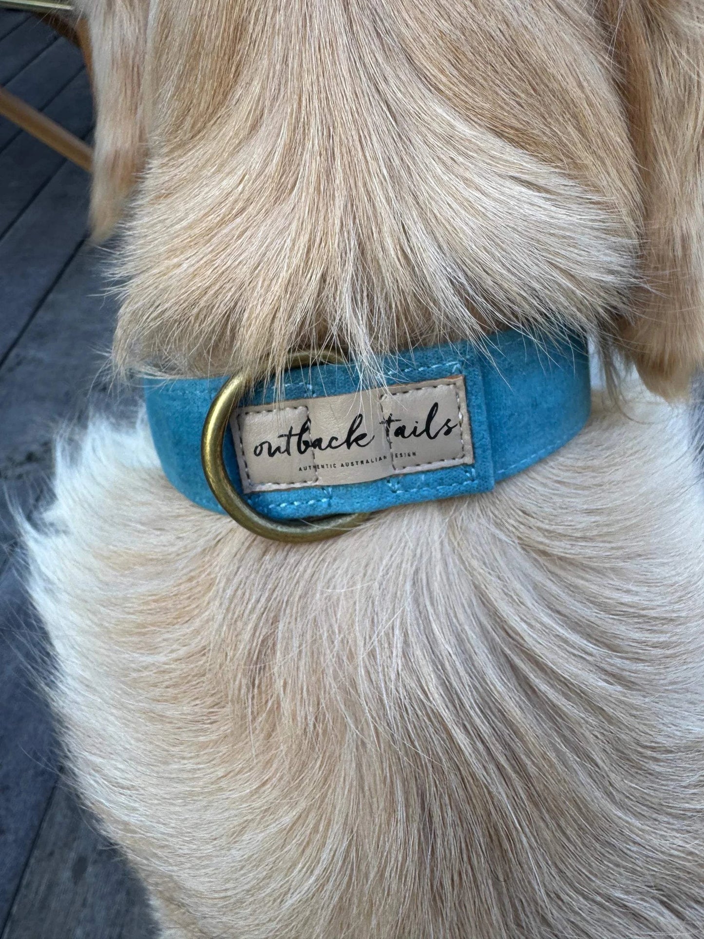 Outback Tails - Waxed Canvas Dog Collar (blue)
