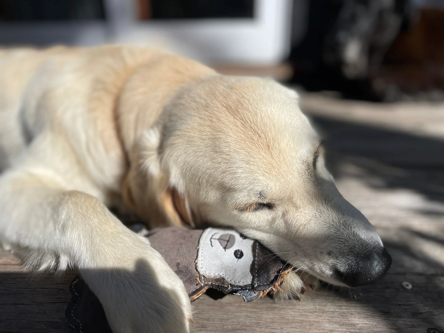 Outback Tails - Country Tails - Sheep Chew Toy