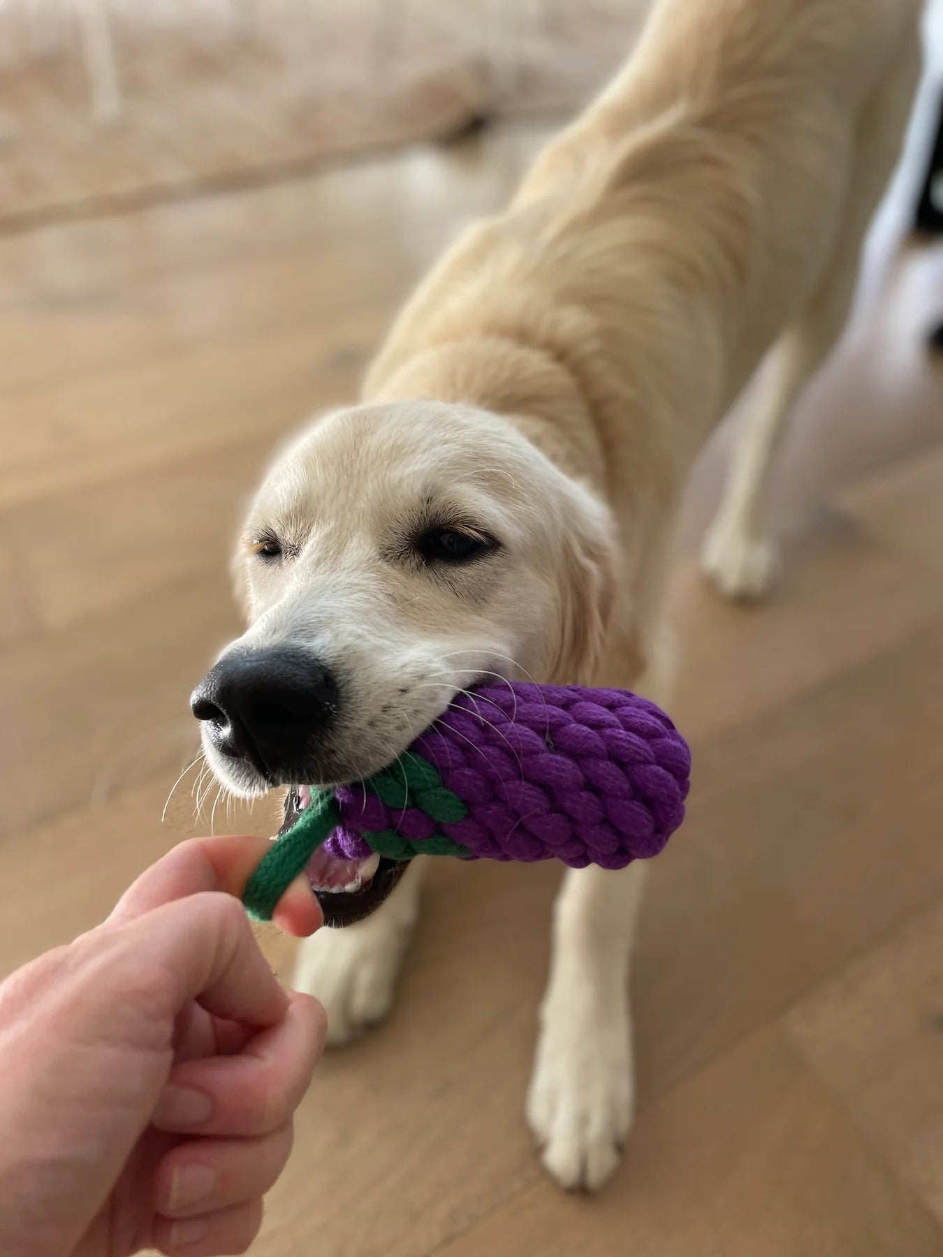 Outback Tails - Country Tails - Eggplant Rope Toy