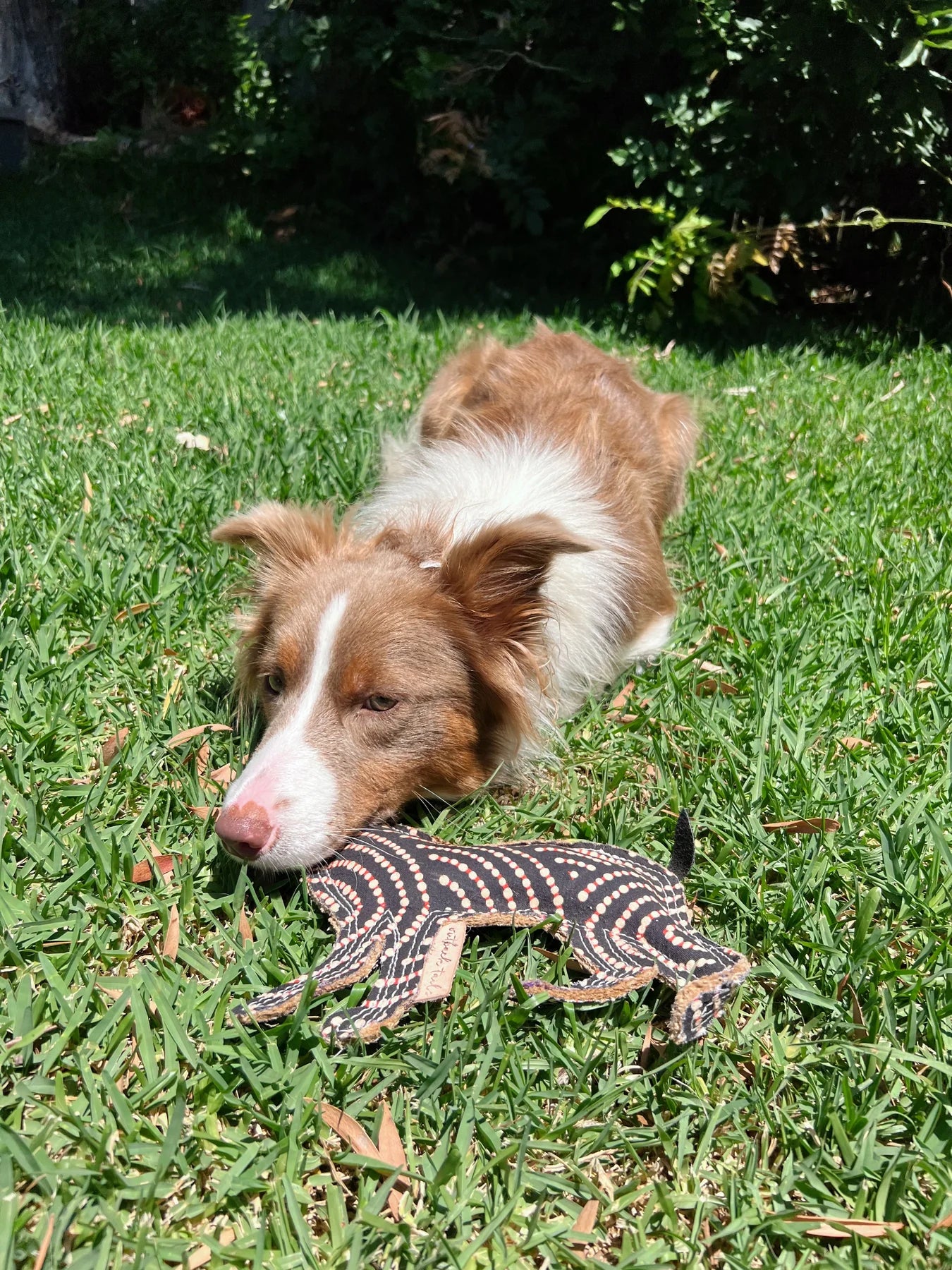 Outback Tails - Desert Dog Chew Toy - Bob