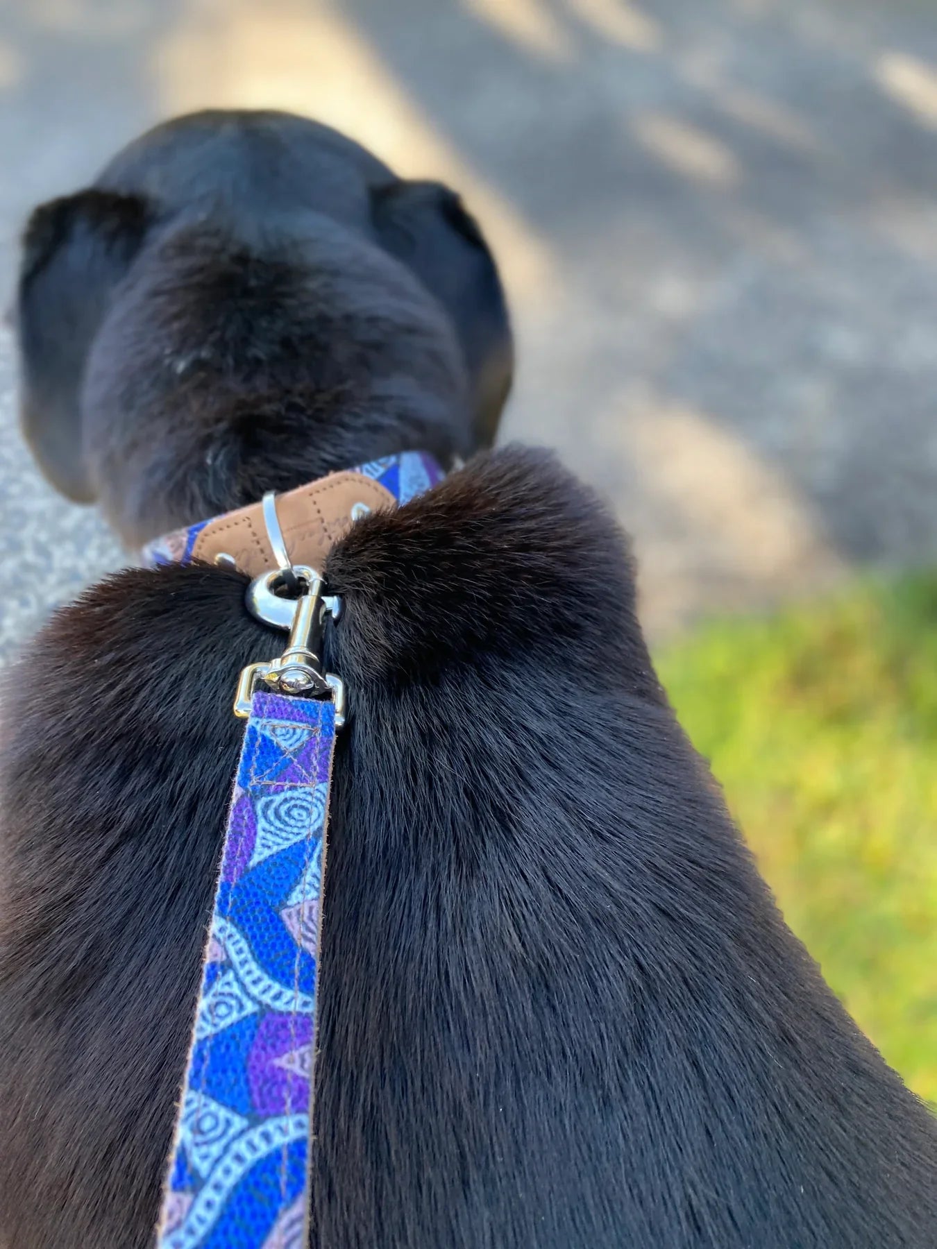 Outback Tails - Leather Dog Lead - Salt Lakes