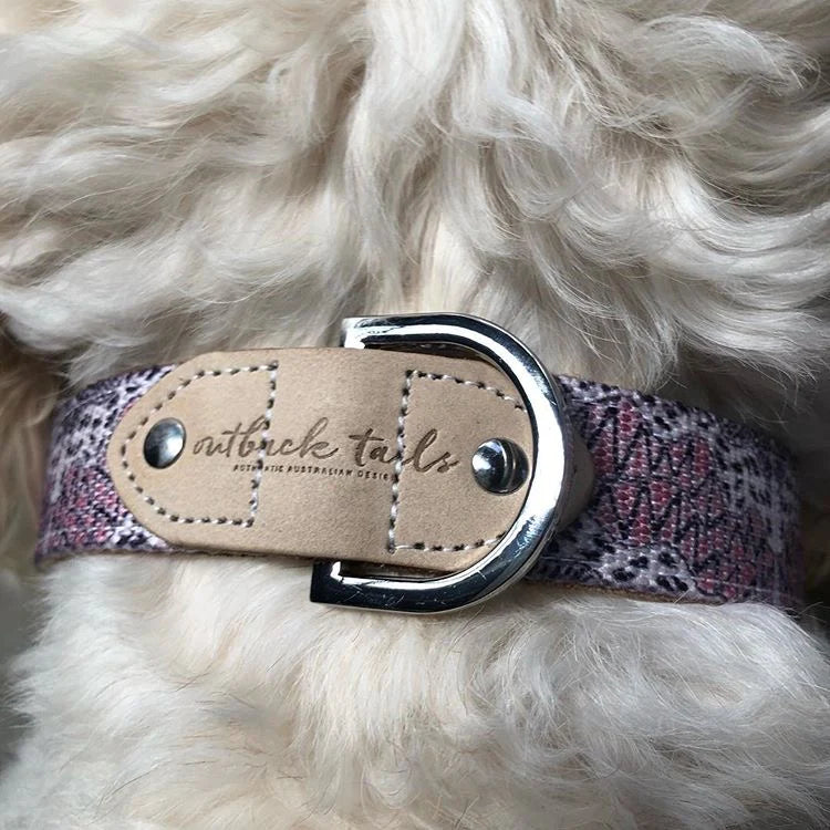 Outback Tails - Leather Dog Collar - Vaughn Springs