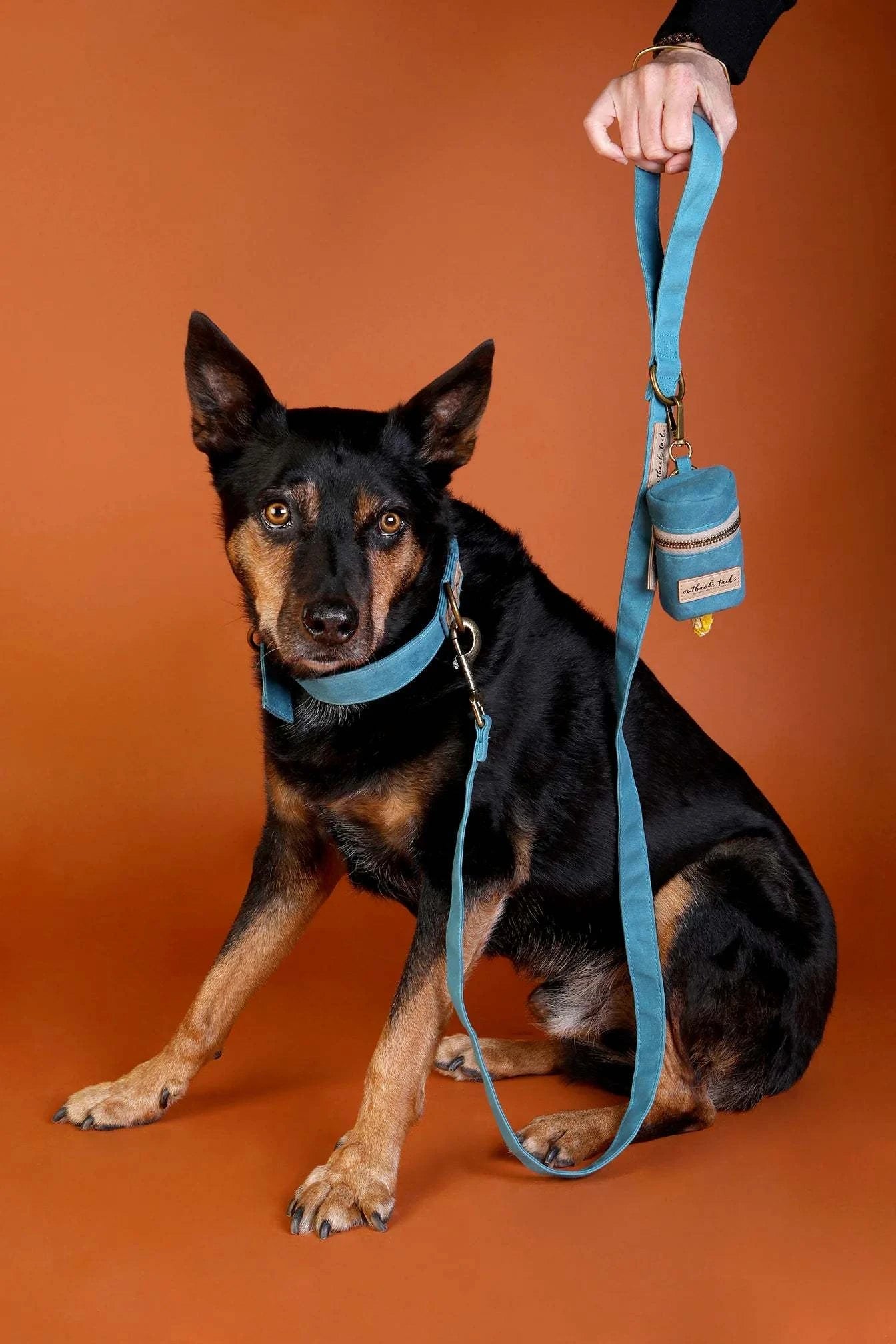 Outback Tails - Waxed Canvas Pick-Up Bag Holder (blue)