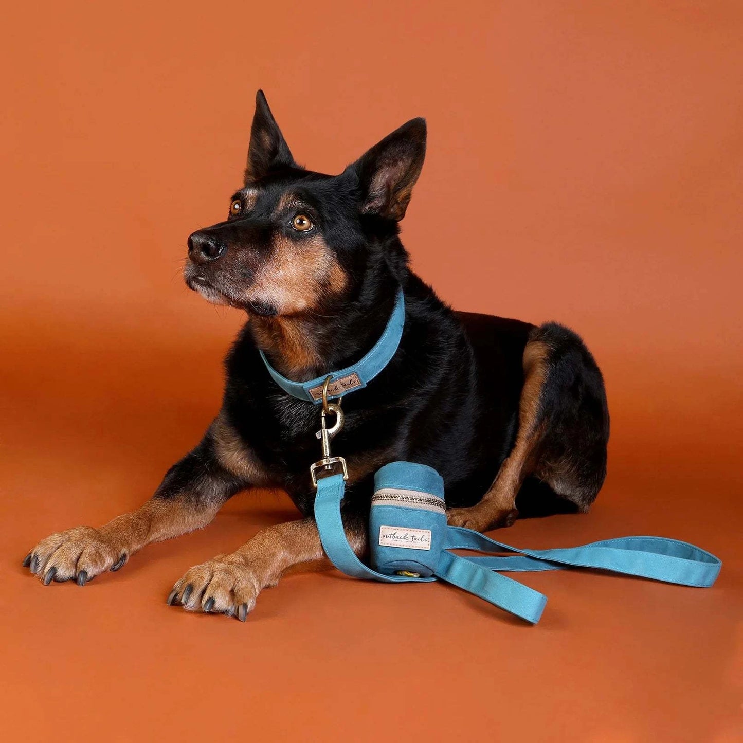 Outback Tails - Waxed Canvas Dog Lead (blue)