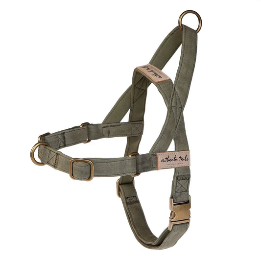 Outback Tails - Waxed Canvas Dog Harness (green)