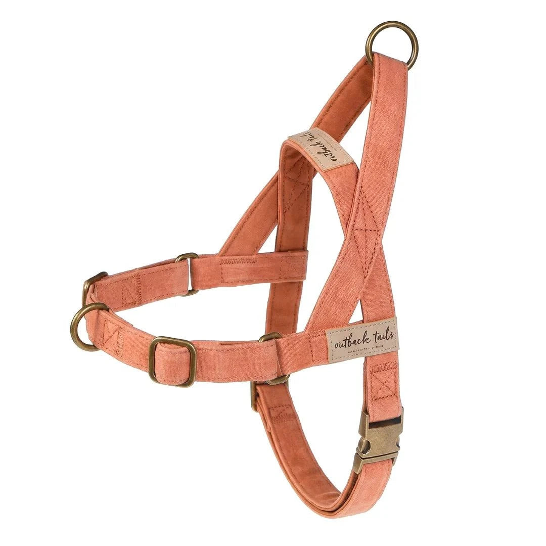 Outback Tails - Waxed Canvas Dog Harness (clay)