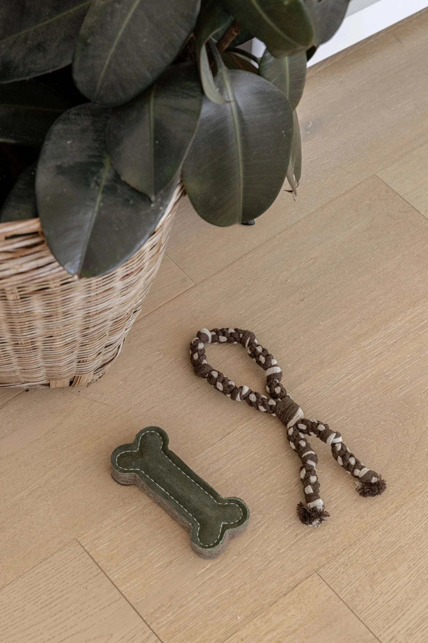 Conscious Pet Co - Puppy Bone