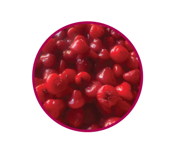 Natif - Rainforest Cherry Fruit - 20g