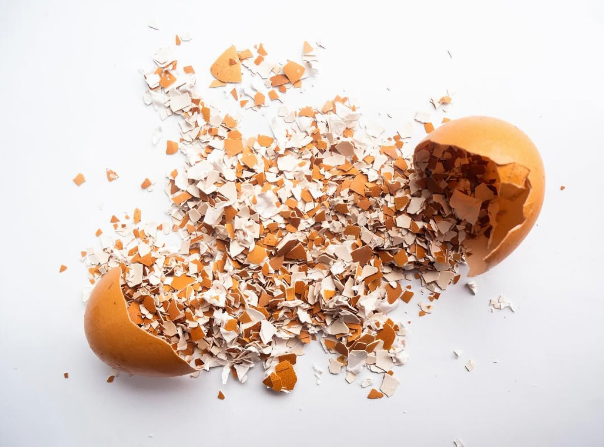 Shells Collection - Eggshell Heart Dish