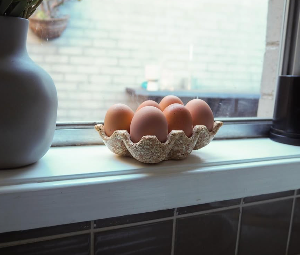 Shells Collection - Eggshell Holder