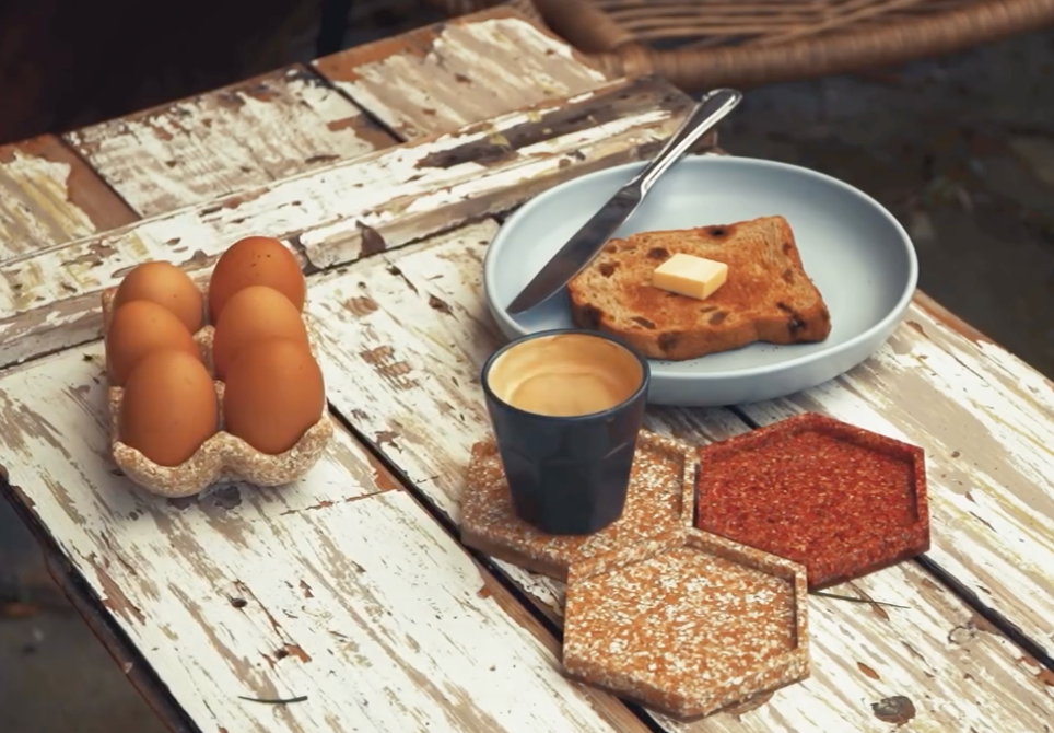 Shells Collection - Eggshell Coasters