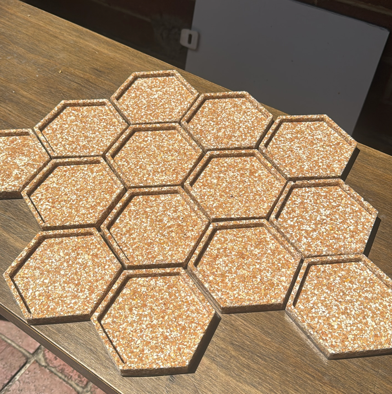 Shells Collection - Eggshell Coasters