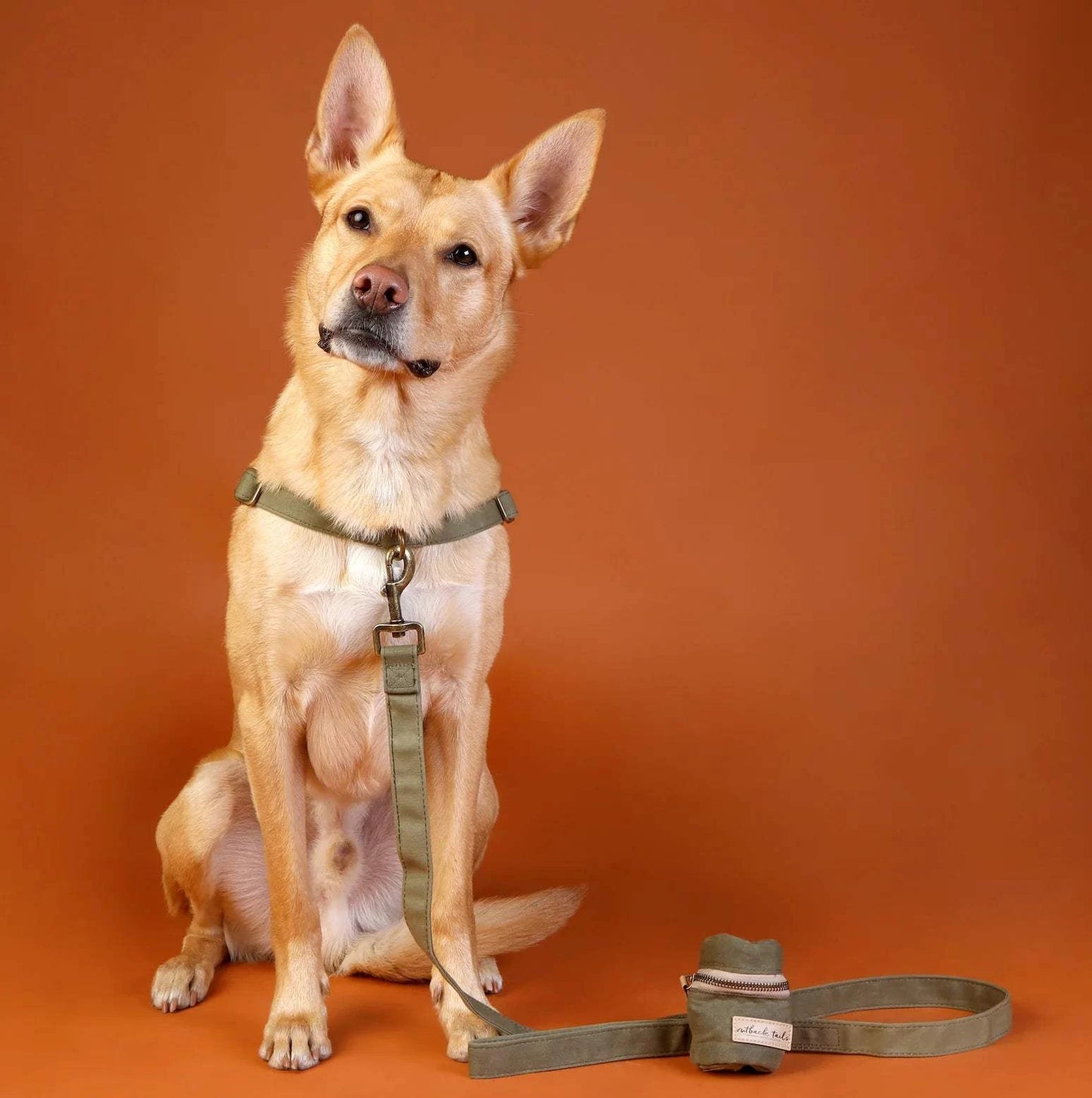 Outback Tails - Waxed Canvas Dog Lead (green)