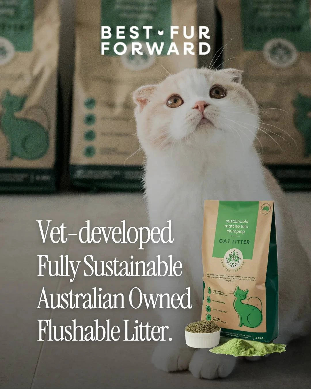 Best Fur Forward - Organic Tofu Cat Litter