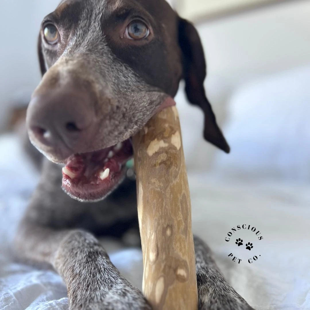 Conscious Pet Co - Coffee Wood Chew Toys