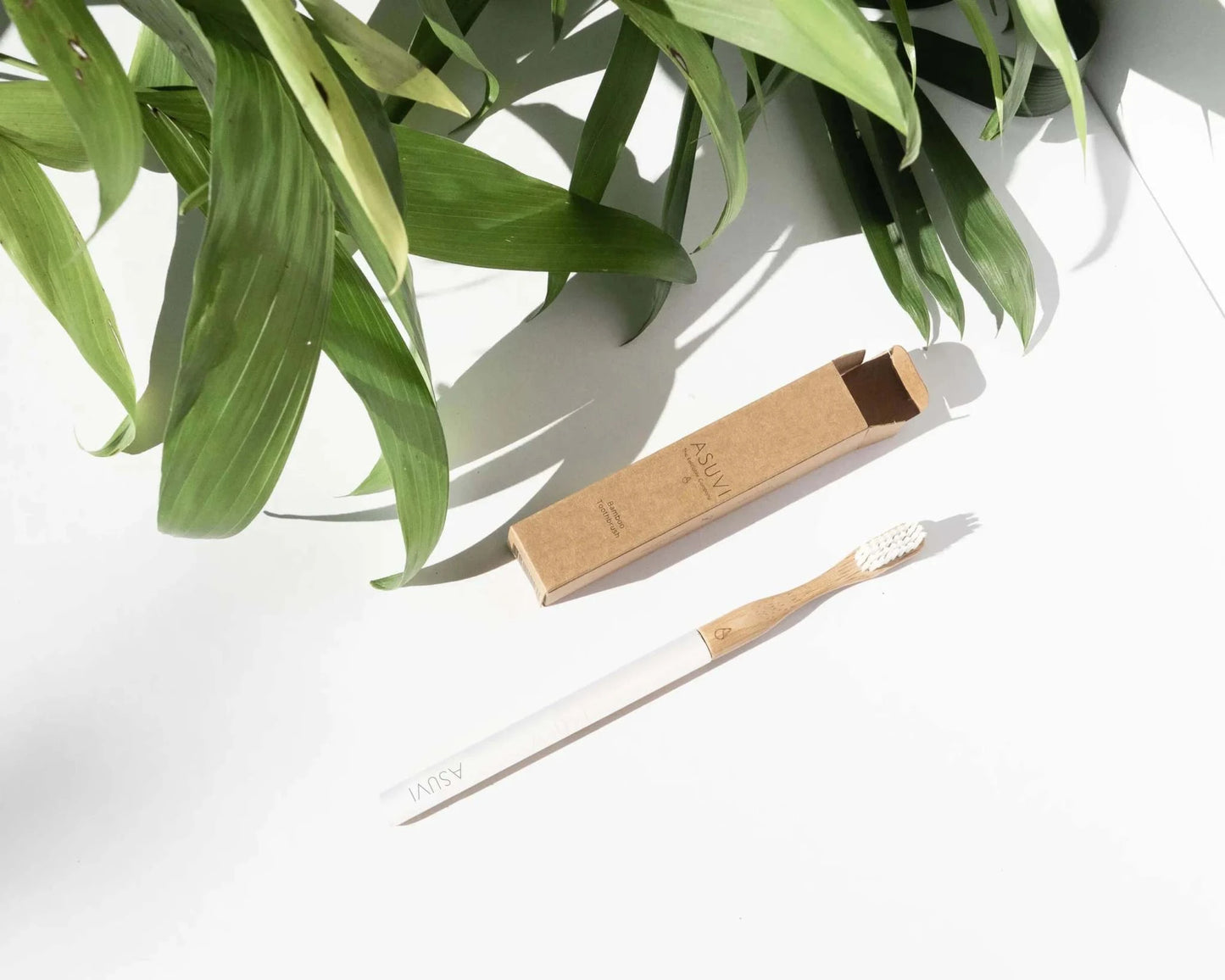 Asuvi - Eco Toothbrush