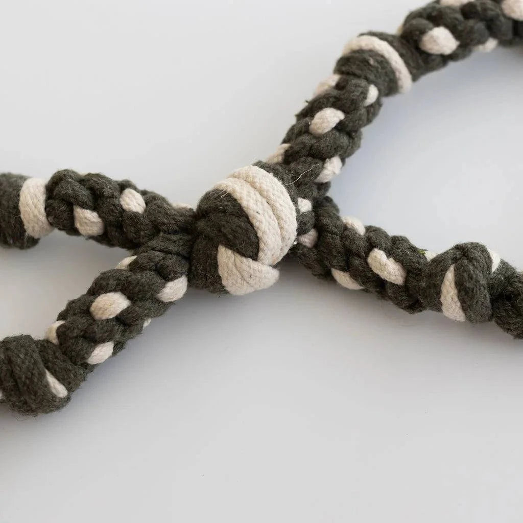 Conscious Pet Co - Lots O Knots