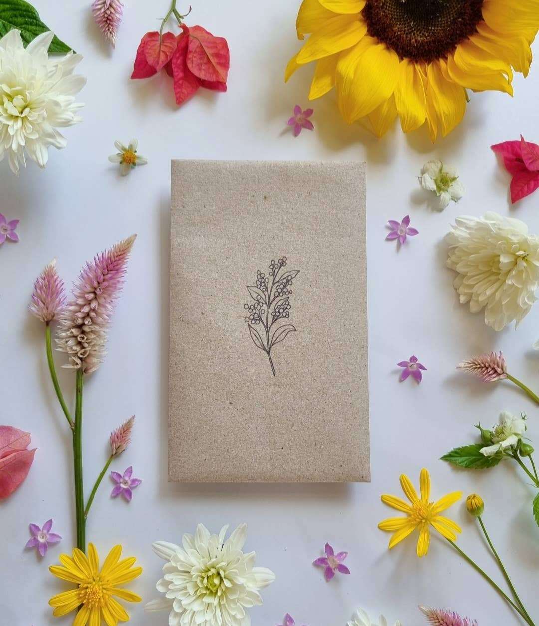 Australian Native Mix - Wildflower Seeds