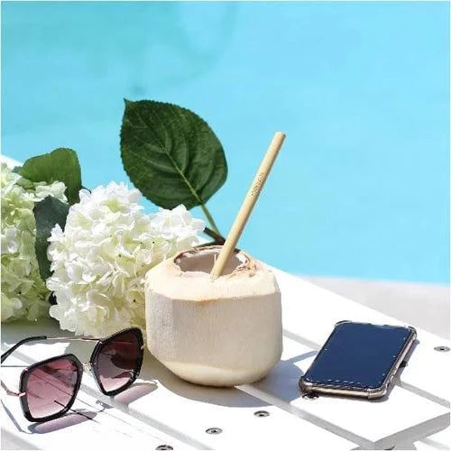 Eco Basics - Reusable Bamboo Straws