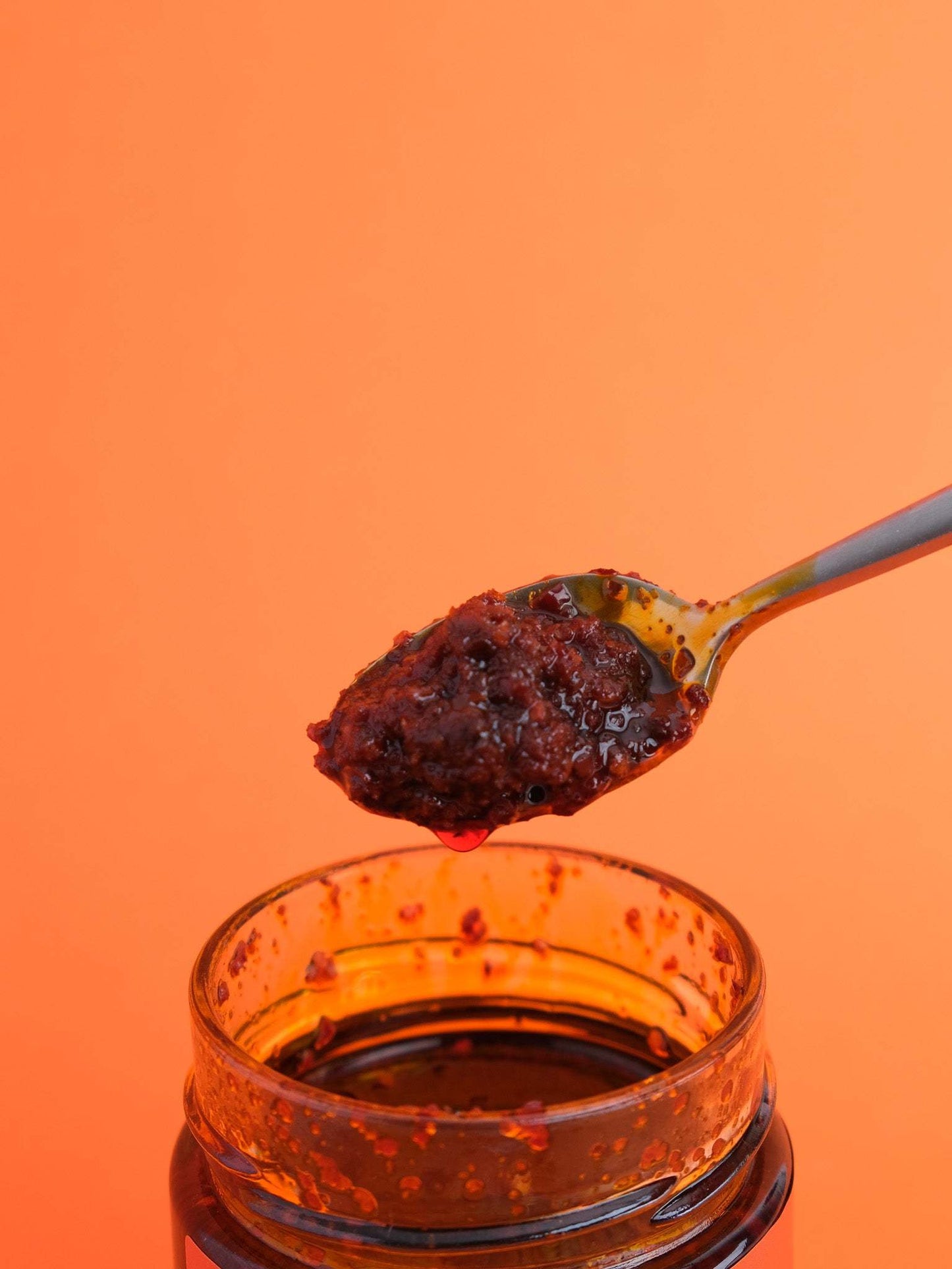 Salt Gang - Chiu Chow Garlic Chilli