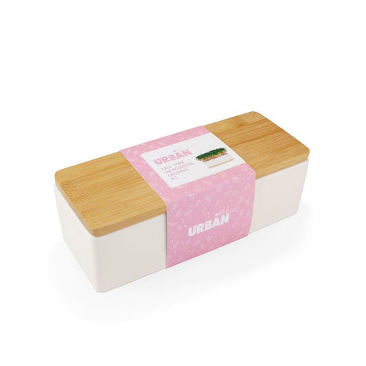 Urban Greens Mini Garden kit with bamboo lid and porcelain box for growing kale sprouts.