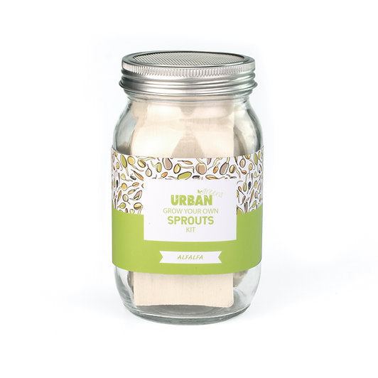 Urban Greens Sprout Jar Kit for Alfalfa seeds.