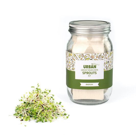 Urban Greens - Sprout Jar Kit (Radish)