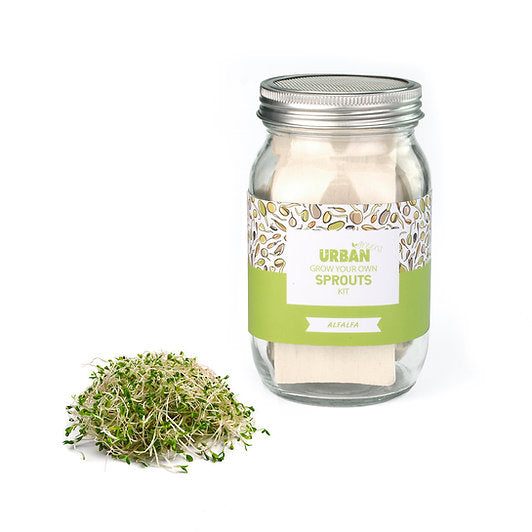 Urban Greens - Sprout Jar Kit (Alfalfa)