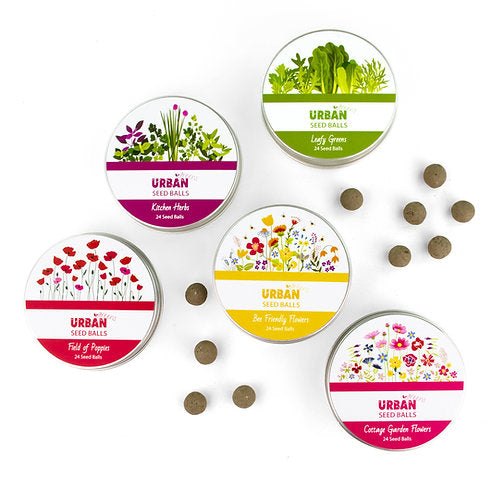 Urban Greens - Seed Balls (Bee Friendly Flowers)