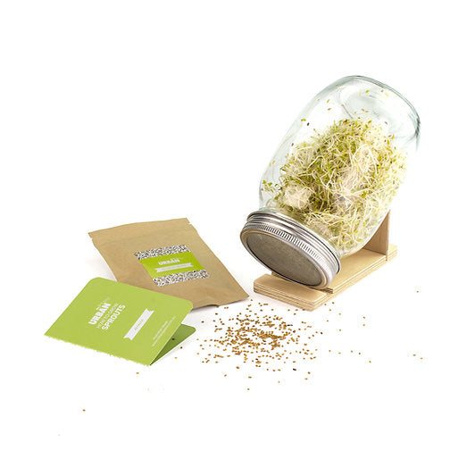 Urban Greens - Sprout Jar Kit (Alfalfa)